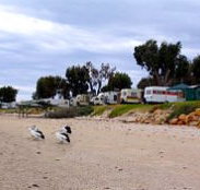 Stansbury Foreshore Caravan Park - Accommodation Newcastle