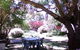 Morse Cottage - thumb 5