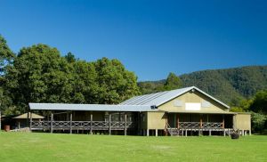 Riverwood Downs Mountain Valley Resort - Accommodation Newcastle 10
