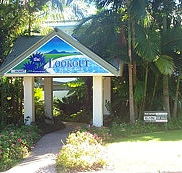 The Lookout Noosa - Accommodation Newcastle
