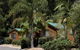 The Palms At Avoca - thumb 0