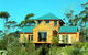 The Tree House - thumb 0