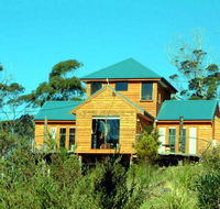 The Tree House