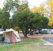 Wedderburn Pioneer Caravan Park - Accommodation Newcastle