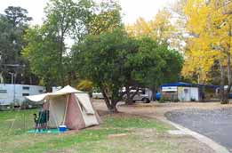 Wedderburn Pioneer Caravan Park - Accommodation Newcastle 0