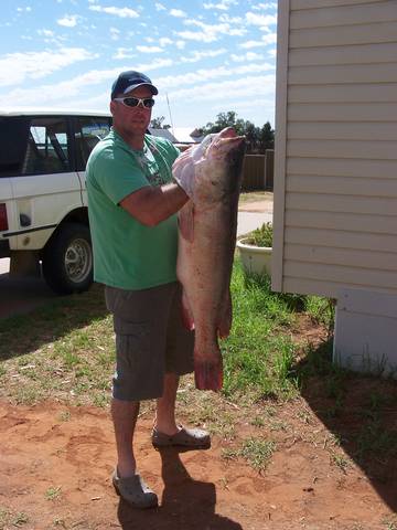 Weir Caravan Park Robinvale - Accommodation Newcastle 1