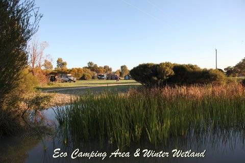 Western Flora Caravan Park - Accommodation Newcastle 4