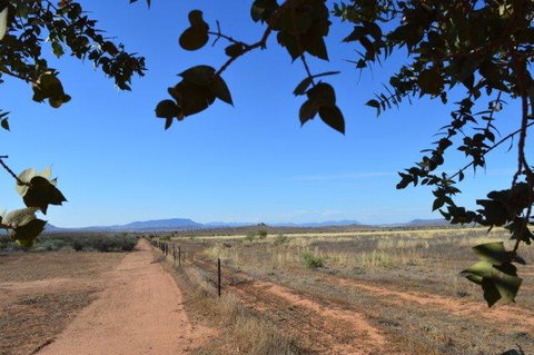 Windana Cottages - Accommodation Newcastle 5