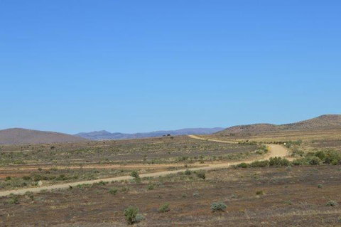 Windana Cottages - Accommodation Newcastle 7