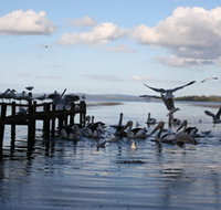 Pelicans At Denmark - Holiday Home - Accommodation Newcastle