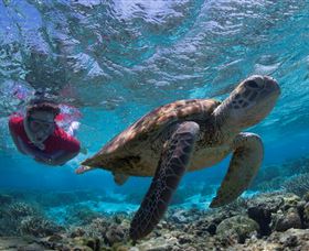 Lady Elliot Island Eco Resort - Accommodation Newcastle 1