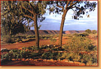 Kings Creek Station - Accommodation Newcastle 1