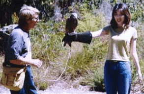 Eagles Heritage Raptor Wildlife Centre - Accommodation Newcastle 2