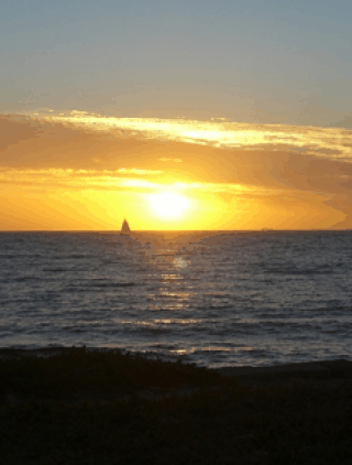 Kidogo Arthouse - Accommodation Newcastle 1