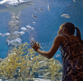 The Aquarium Of Western Australia - Accommodation Newcastle 0
