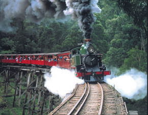 Puffing Billy - Accommodation Newcastle 1
