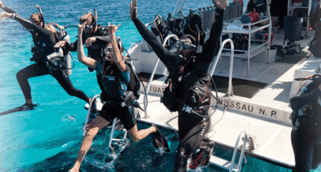 Snorkel Safari Brisbane - Accommodation Newcastle
