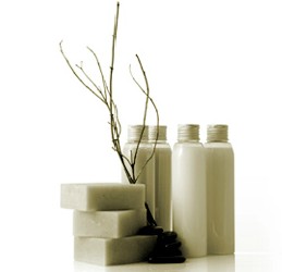 Oasis Day Spa - Accommodation Newcastle 0