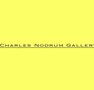 Charles Nodrum Gallery - Accommodation Newcastle