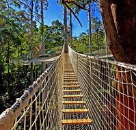 Thunderbird Park - Accommodation Newcastle