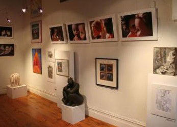 Bird's Gallery - Accommodation Newcastle 2