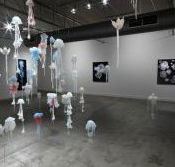 Nellie Castan Gallery - Accommodation Newcastle