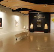 Counihan Gallery In Brunswick - Accommodation Newcastle
