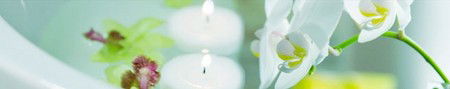 Energy Creations - Accommodation Newcastle 1