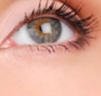 Cinnamon Stix Hair  Day Spa - Accommodation Newcastle