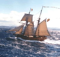 Enterprize - Melbourne's Tall Ship - Accommodation Newcastle