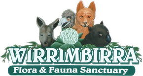 Wirrimbirra Sanctuary - Accommodation Newcastle 0