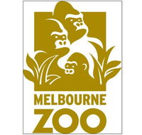 Melbourne Zoo - Accommodation Newcastle