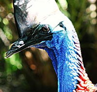Alma Park Zoo - Accommodation Newcastle