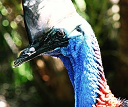 Alma Park Zoo - Accommodation Newcastle 0