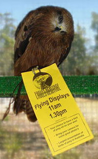 Eagles Heritage - Accommodation Newcastle 1