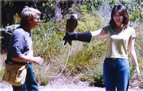 Eagles Heritage - Accommodation Newcastle 2