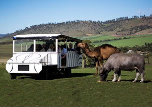 Zoo Doo Wildlife Park - Accommodation Newcastle 2