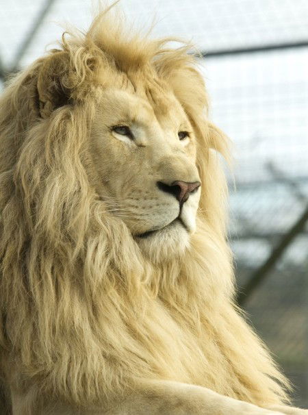 Zoo Doo Wildlife Park - Accommodation Newcastle 3