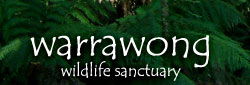  Accommodation Newcastle