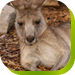  Accommodation Newcastle