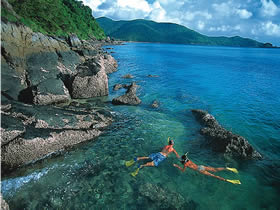 Llewellyn Dive Site - Accommodation Newcastle 0