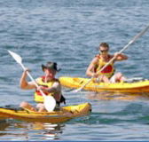 Manly Kayaks - Accommodation Newcastle