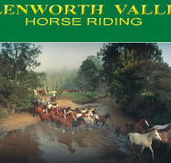 Glenworth Valley Horseriding - Accommodation Newcastle