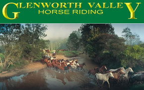 Glenworth Valley Horseriding - Accommodation Newcastle 0