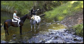 Glenworth Valley Horseriding - Accommodation Newcastle 1
