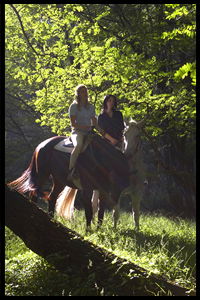 Glenworth Valley Horseriding - Accommodation Newcastle 2