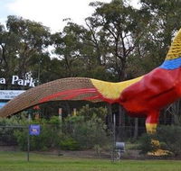 Gumbuya Park - Accommodation Newcastle