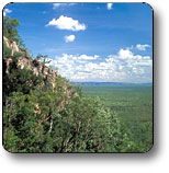 Kakadu National Park - Accommodation Newcastle 2