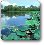 Kakadu National Park - Accommodation Newcastle 3