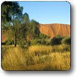  Accommodation Newcastle